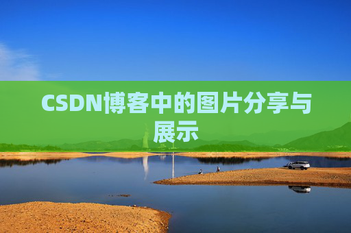 CSDN博客中的图片分享与展示